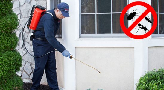 Bünyan Gümüşkurt İlaçlama böcek ilaçlama ve haşere kontrolü — ilaclama-tr.com